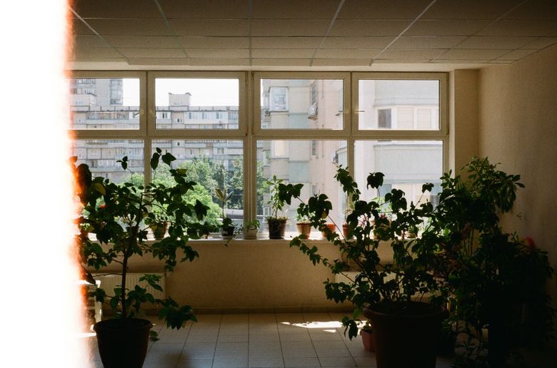 Как выбрать материалы для биофильного интерьера: камень, дерево и штукатурка